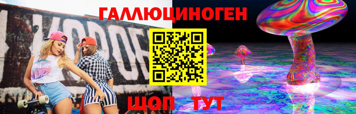 Псилоцибиновые грибы Psilocybine cubensis  Электрогорск 