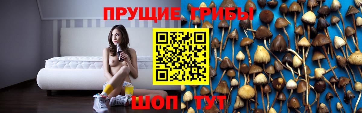 Галлюциногенные грибы Psilocybe Электрогорск