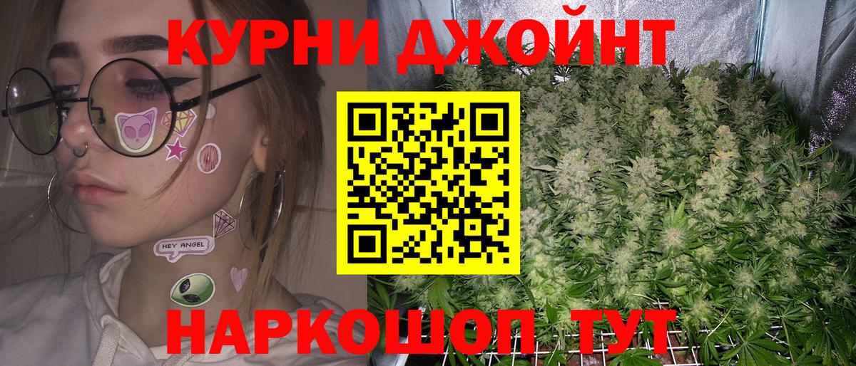 Канабис планчик Электрогорск